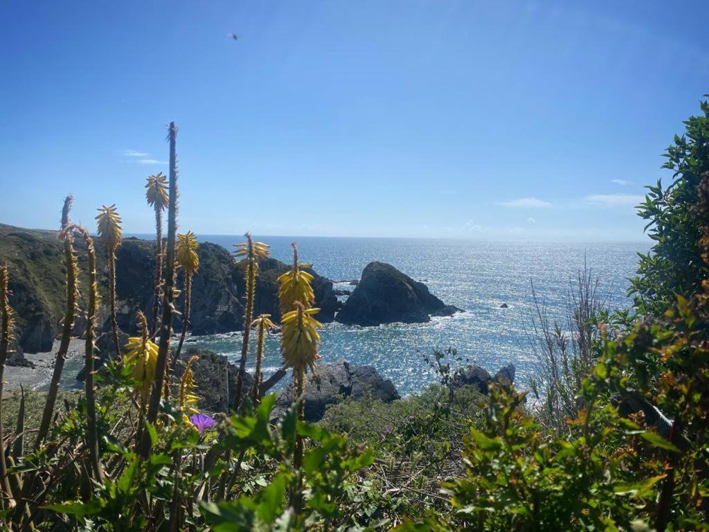 Casa Do Brejao Campo E Praia Одеміра Екстер'єр фото