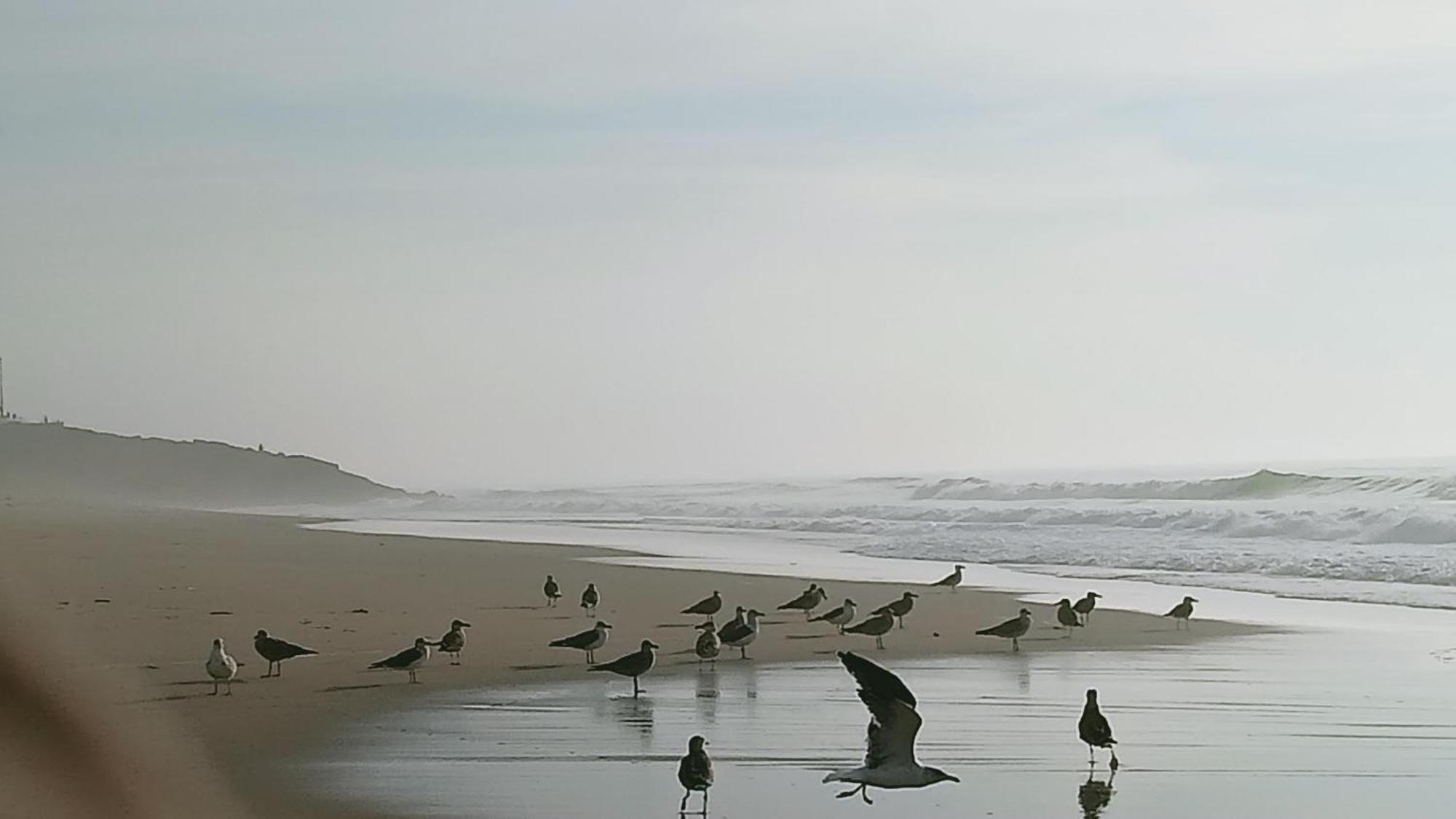 Casa Do Brejao Campo E Praia Одеміра Екстер'єр фото