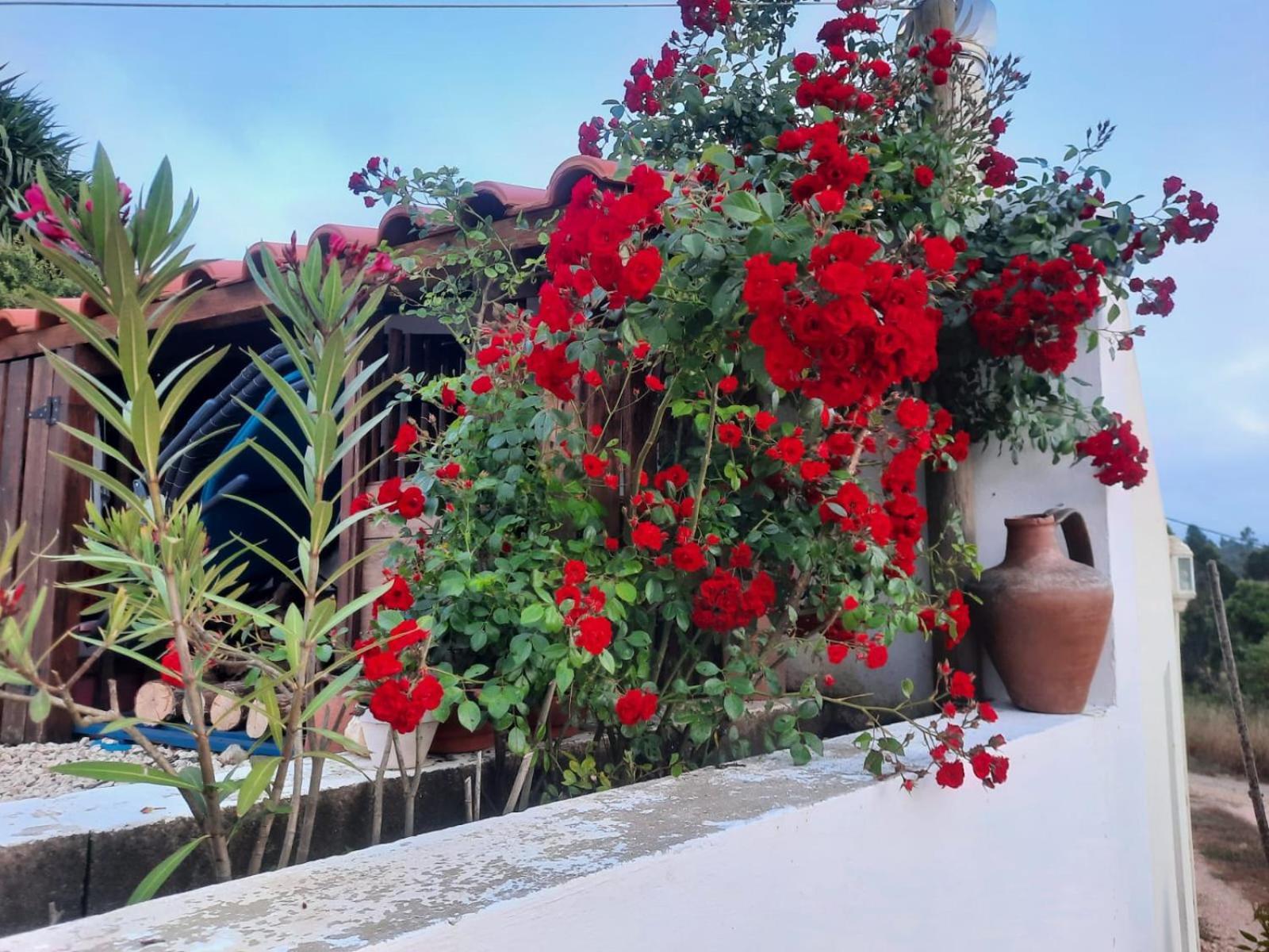 Casa Do Brejao Campo E Praia Одеміра Екстер'єр фото